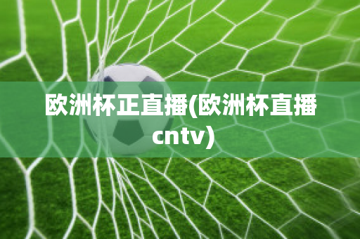 欧洲杯正直播(欧洲杯直播 cntv)