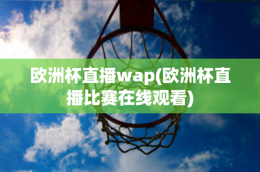 欧洲杯直播wap(欧洲杯直播比赛在线观看)