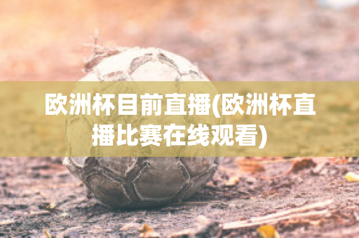 欧洲杯目前直播(欧洲杯直播比赛在线观看)