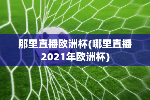 那里直播欧洲杯(哪里直播2021年欧洲杯)