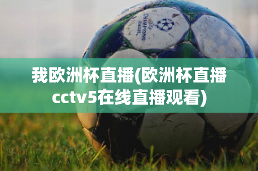 我欧洲杯直播(欧洲杯直播cctv5在线直播观看)