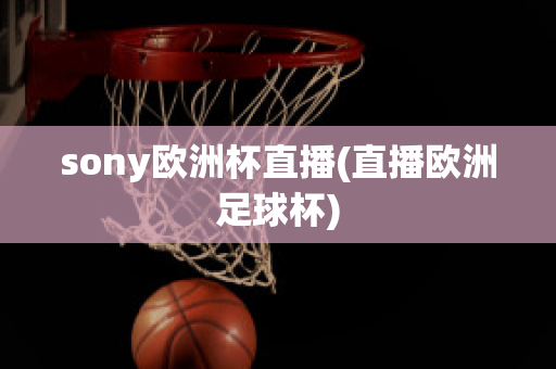 sony欧洲杯直播(直播欧洲足球杯)