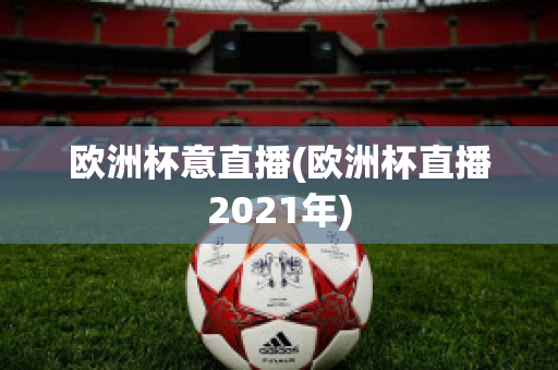 欧洲杯意直播(欧洲杯直播2021年)