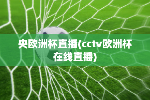 央欧洲杯直播(cctv欧洲杯在线直播)