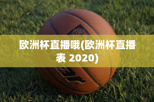 欧洲杯直播哦(欧洲杯直播表 2020)