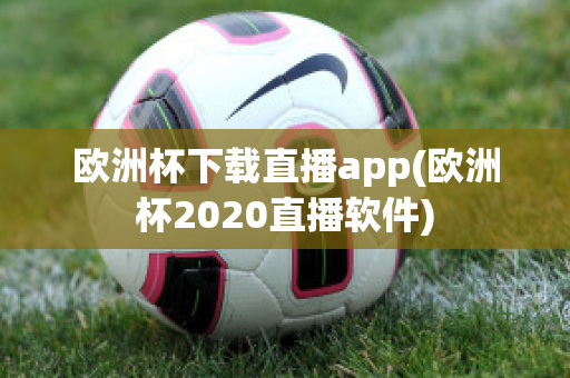 欧洲杯下载直播app(欧洲杯2020直播软件)