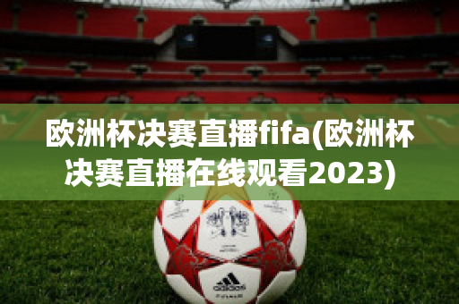 欧洲杯决赛直播fifa(欧洲杯决赛直播在线观看2023)