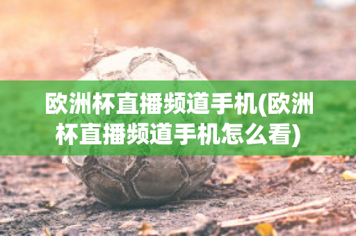 欧洲杯直播频道手机(欧洲杯直播频道手机怎么看)