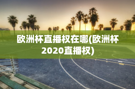 欧洲杯直播权在哪(欧洲杯2020直播权)