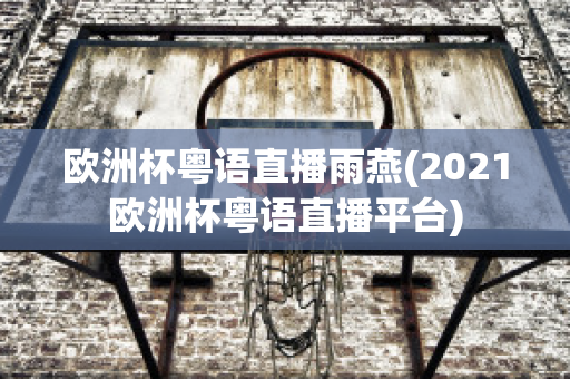 欧洲杯粤语直播雨燕(2021欧洲杯粤语直播平台)