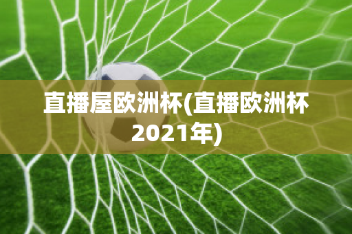 直播屋欧洲杯(直播欧洲杯2021年)