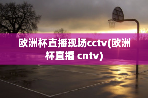 欧洲杯直播现场cctv(欧洲杯直播 cntv)