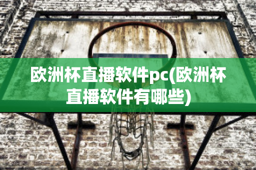 欧洲杯直播软件pc(欧洲杯直播软件有哪些)