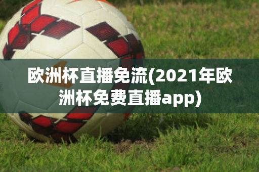 欧洲杯直播免流(2021年欧洲杯免费直播app)