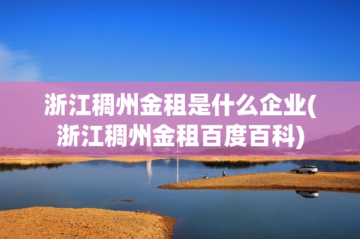 浙江稠州金租是什么企业(浙江稠州金租百度百科)