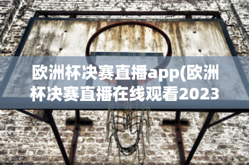 欧洲杯决赛直播app(欧洲杯决赛直播在线观看2023)