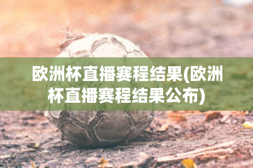 欧洲杯直播赛程结果(欧洲杯直播赛程结果公布)