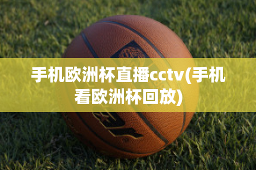 手机欧洲杯直播cctv(手机看欧洲杯回放)