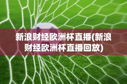 新浪财经欧洲杯直播(新浪财经欧洲杯直播回放)