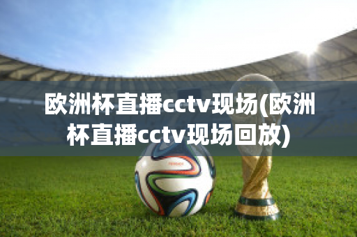 欧洲杯直播cctv现场(欧洲杯直播cctv现场回放)