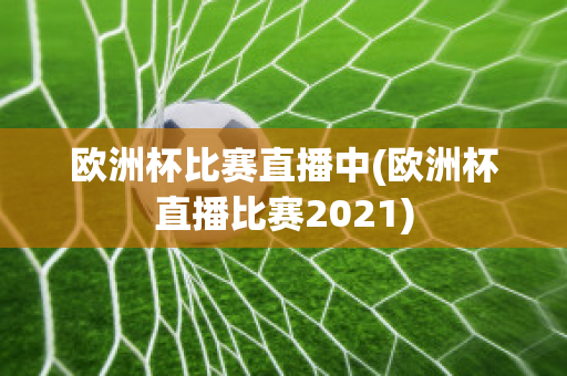 欧洲杯比赛直播中(欧洲杯直播比赛2021)