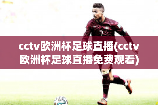 cctv欧洲杯足球直播(cctv欧洲杯足球直播免费观看)