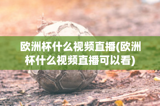 欧洲杯什么视频直播(欧洲杯什么视频直播可以看)