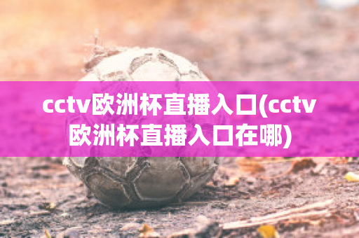 cctv欧洲杯直播入口(cctv欧洲杯直播入口在哪)