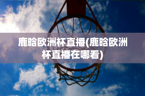 鹿晗欧洲杯直播(鹿晗欧洲杯直播在哪看)