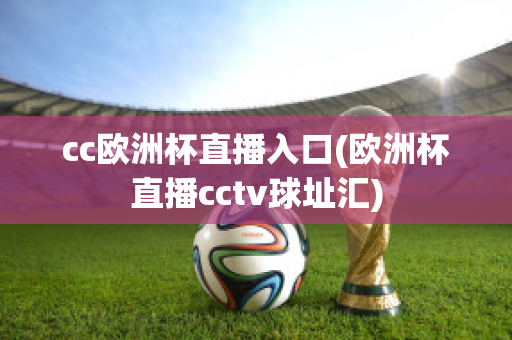 cc欧洲杯直播入口(欧洲杯直播cctv球址汇)