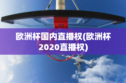 欧洲杯国内直播权(欧洲杯2020直播权)