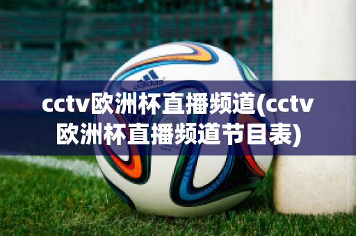 cctv欧洲杯直播频道(cctv欧洲杯直播频道节目表)