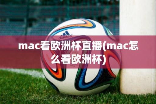 mac看欧洲杯直播(mac怎么看欧洲杯)