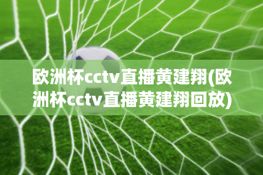 欧洲杯cctv直播黄建翔(欧洲杯cctv直播黄建翔回放)