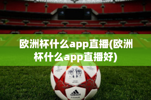 欧洲杯什么app直播(欧洲杯什么app直播好)