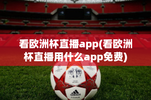 看欧洲杯直播app(看欧洲杯直播用什么app免费)