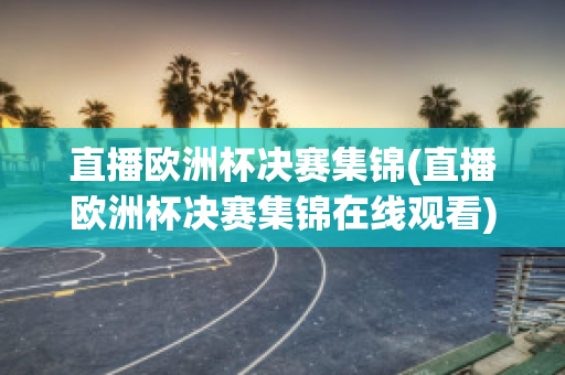 直播欧洲杯决赛集锦(直播欧洲杯决赛集锦在线观看)