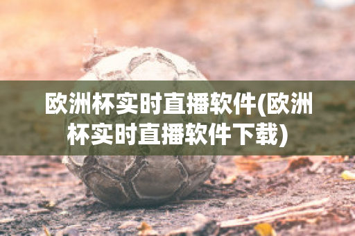 欧洲杯实时直播软件(欧洲杯实时直播软件下载)