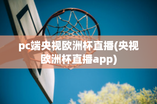 pc端央视欧洲杯直播(央视欧洲杯直播app)