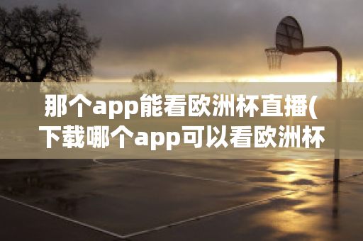 那个app能看欧洲杯直播(下载哪个app可以看欧洲杯直播)