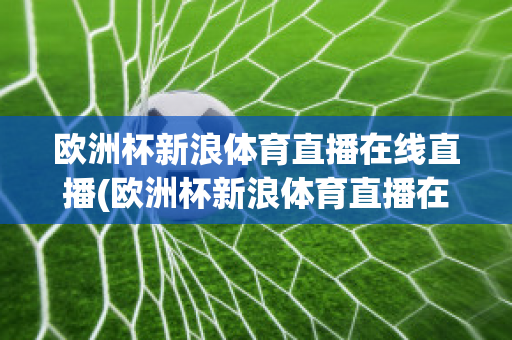 欧洲杯新浪体育直播在线直播(欧洲杯新浪体育直播在线直播视频)