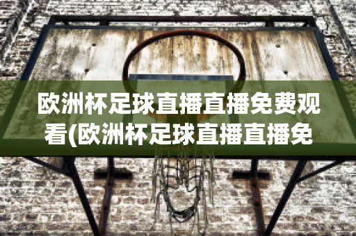 欧洲杯足球直播直播免费观看(欧洲杯足球直播直播免费观看中文)