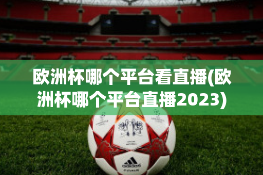 欧洲杯哪个平台看直播(欧洲杯哪个平台直播2023)