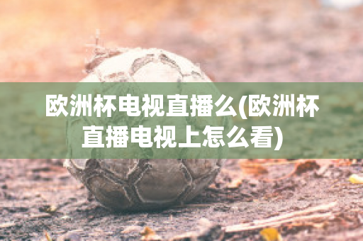 欧洲杯电视直播么(欧洲杯直播电视上怎么看)