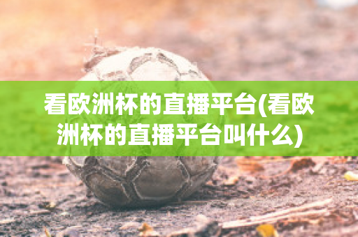 看欧洲杯的直播平台(看欧洲杯的直播平台叫什么)