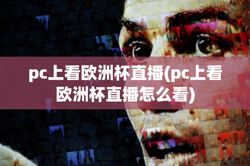 pc上看欧洲杯直播(pc上看欧洲杯直播怎么看)