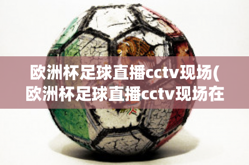 欧洲杯足球直播cctv现场(欧洲杯足球直播cctv现场在线观看)