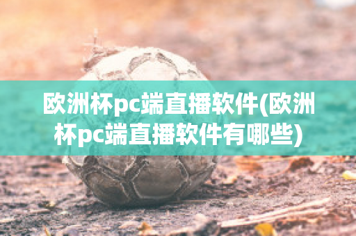 欧洲杯pc端直播软件(欧洲杯pc端直播软件有哪些)