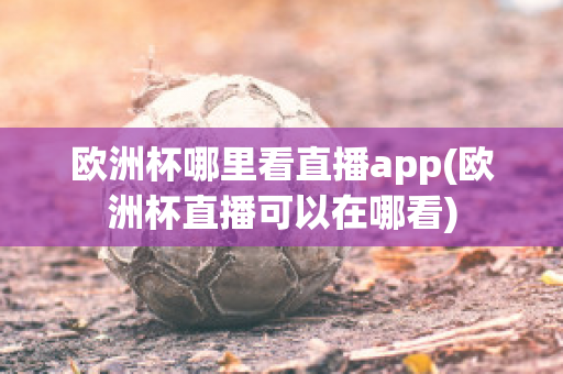 欧洲杯哪里看直播app(欧洲杯直播可以在哪看)