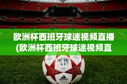 欧洲杯西班牙球迷视频直播(欧洲杯西班牙球迷视频直播在线观看)